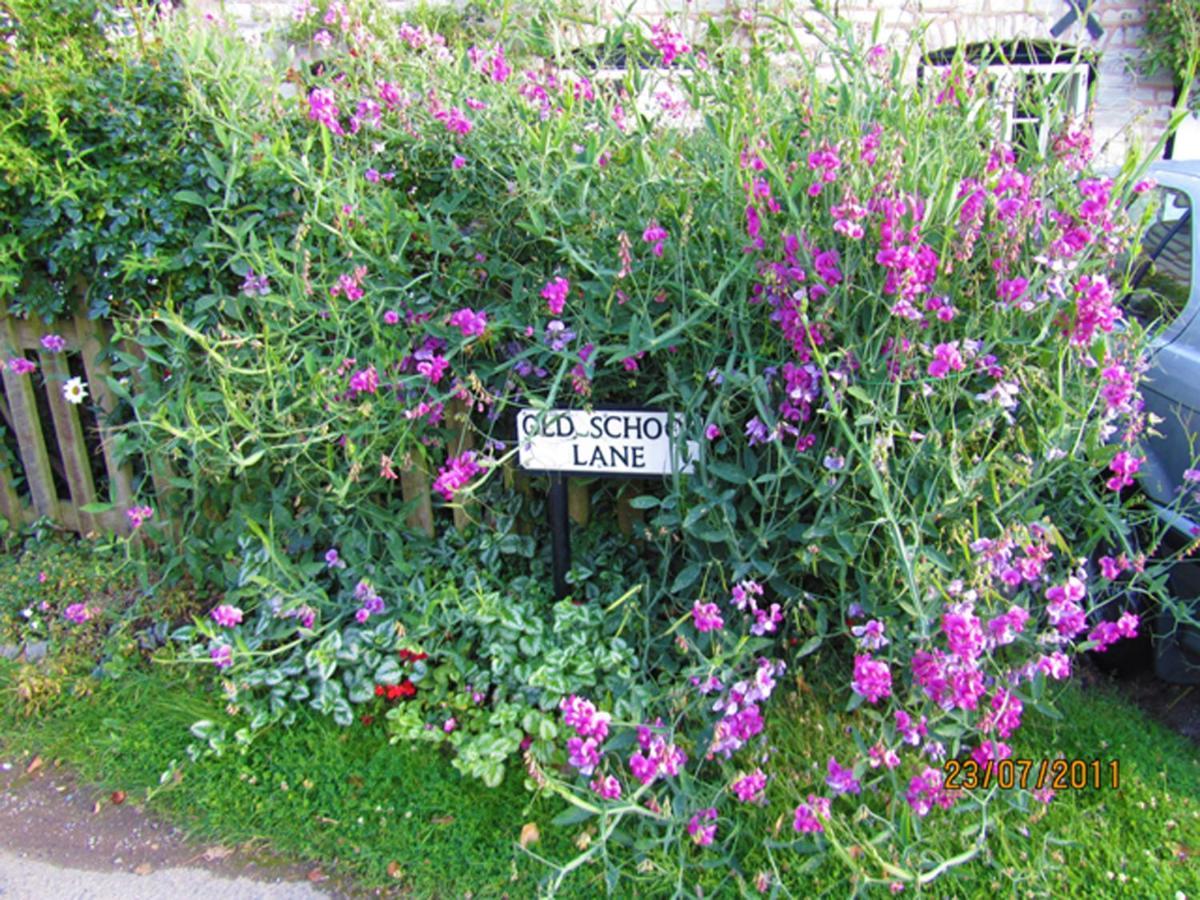 Harpe Cottage Wilmcote ภายนอก รูปภาพ